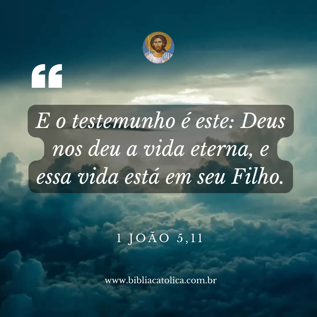 1 João 5,11