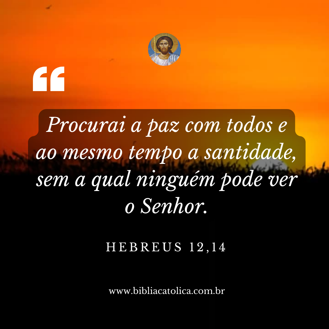 Hebreus 12,14