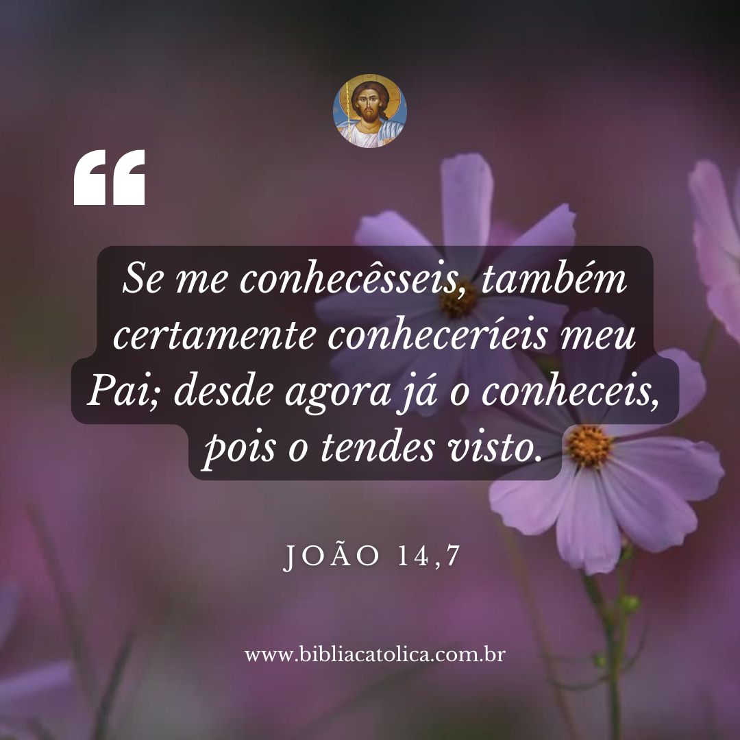 João 14,7