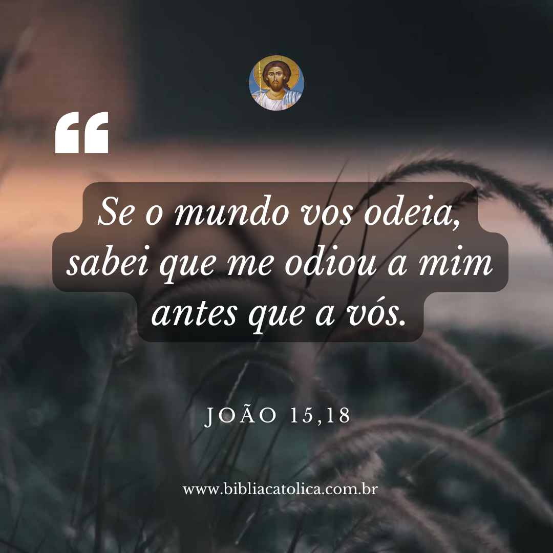 João 15,18