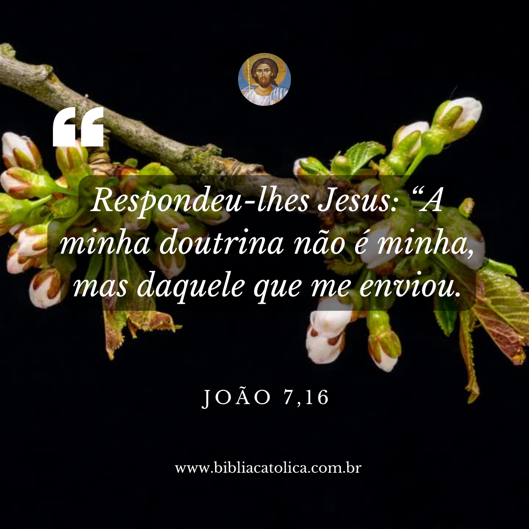 João 7,16