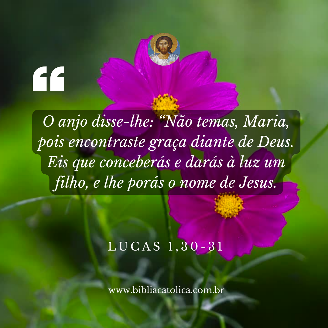 Lucas 1,30-31