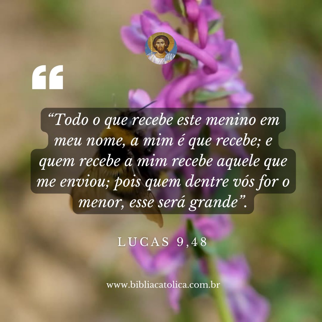 Lucas 9,48