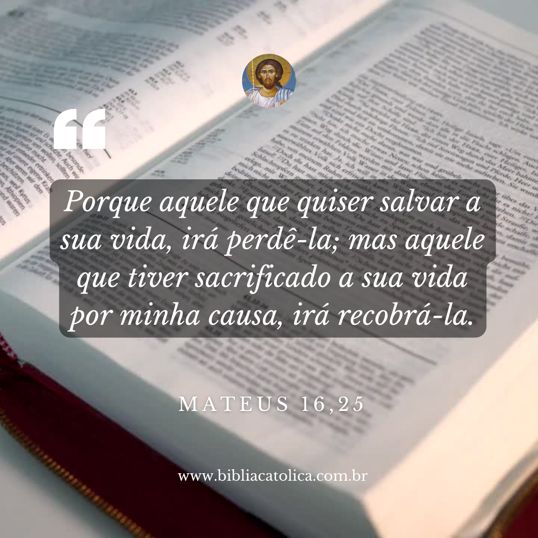 Mateus 16,25